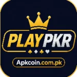 PlayPkr Game